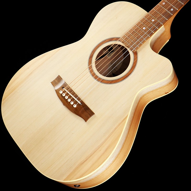 MATON Performerの画像